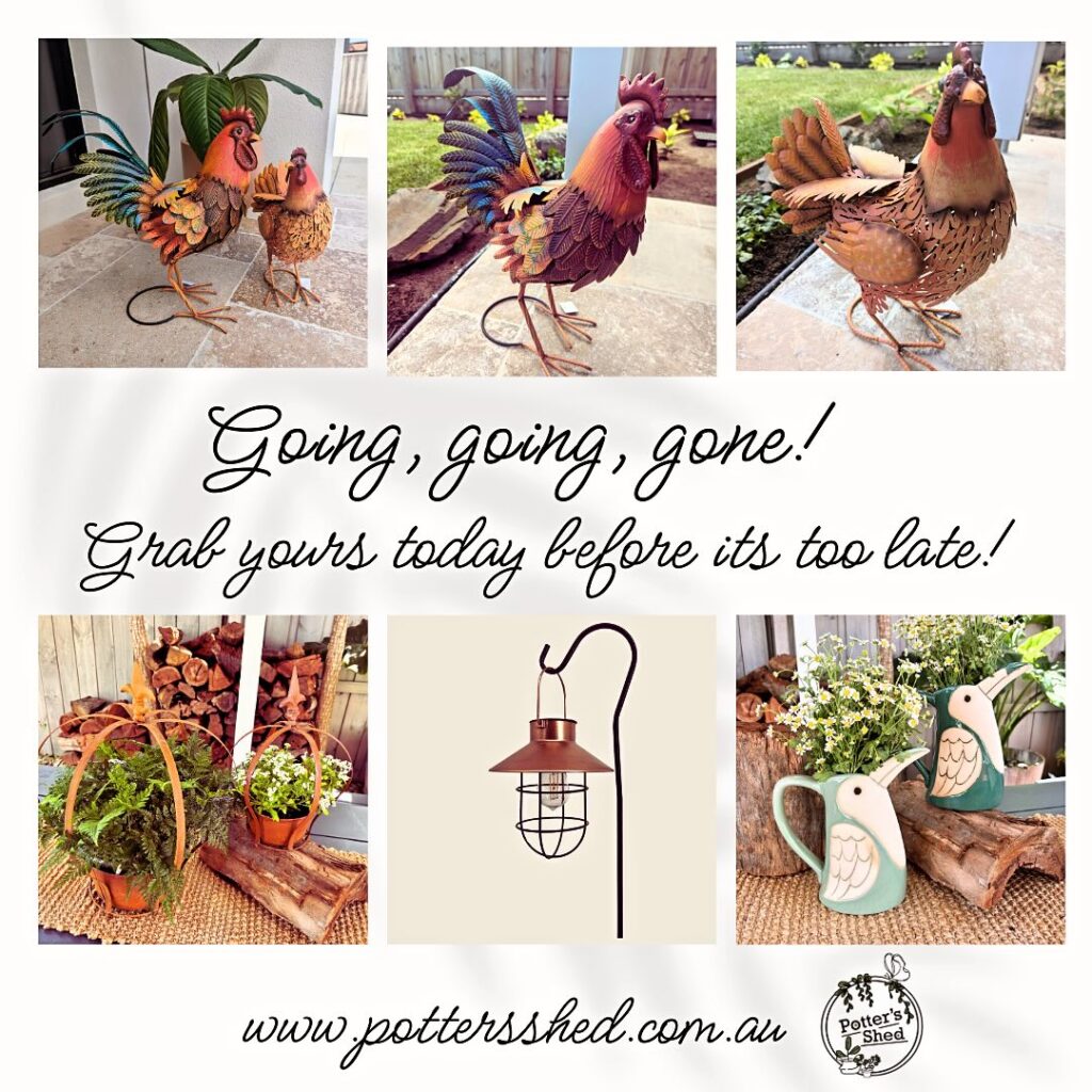 Instagram post from pottersshed_wholesale. This post is in position 0.